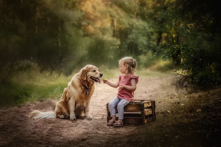 Familienfotograf-Daniela-Rupp-Familienbilder-im-pfaelzer-Wald